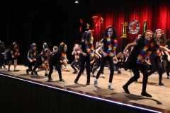 Projeto LCA Agosto 2018 (93)