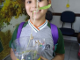 2019 - Estudo sobre a reprodução das plantas