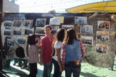 img_1380204992_936