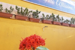 estrutura-99