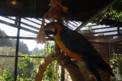 img_1346094748_142