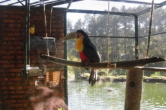 img_1346094759_588