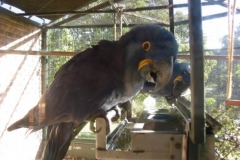 img_1346094764_326