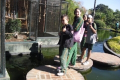 img_1346094780_730