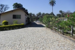 img_1346094789_603