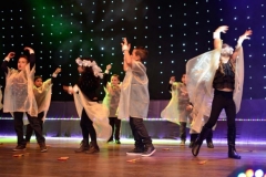img_1502129330_25