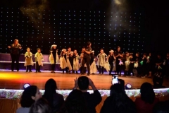 img_1502129345_763