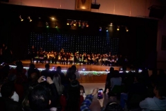 img_1502129347_425