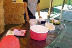 img_1386856382_711