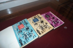 img_1337022402_576
