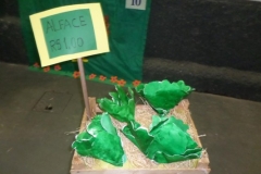 img_1400765760_301