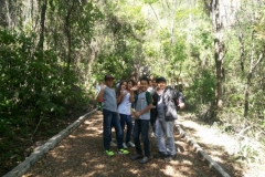 img_1387211873_329