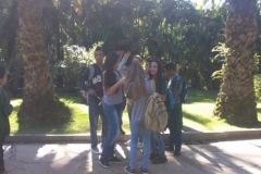 img_1375386203_608
